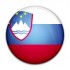 Slovenački jezik