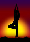 Joga